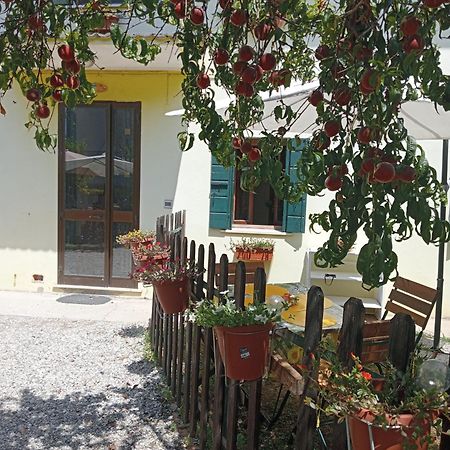 Appartamento Malcontenta Mira Dış mekan fotoğraf