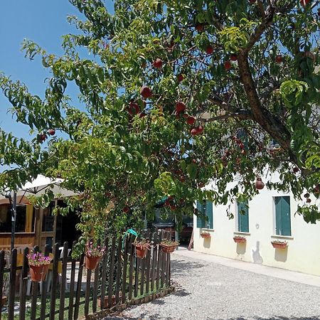 Appartamento Malcontenta Mira Dış mekan fotoğraf